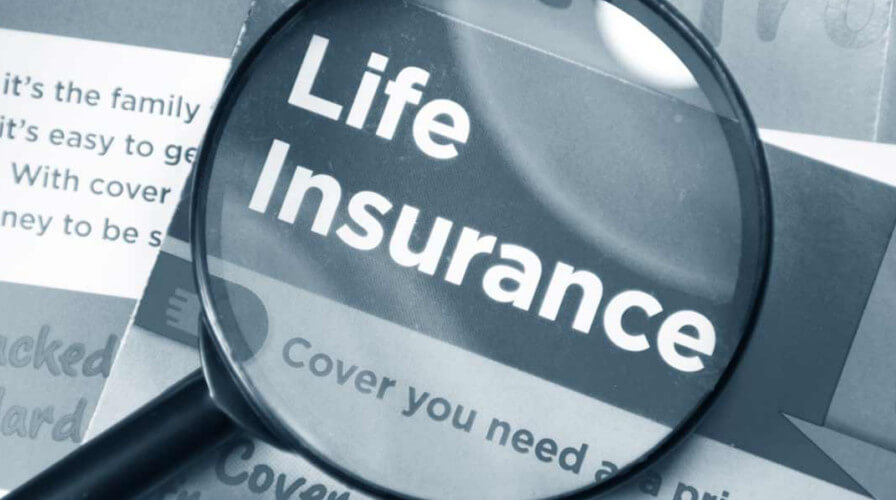 best life insurance for young professionals